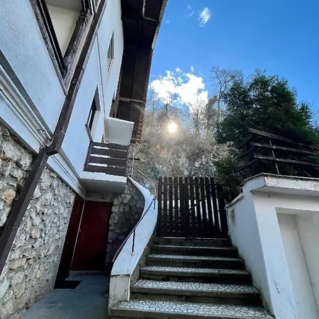 Apartment Timi Brasov