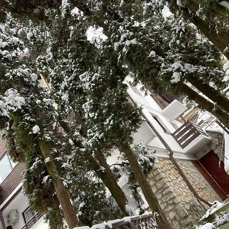 Timi Apartment Brasov
