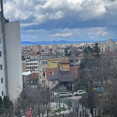 Apartment Timi