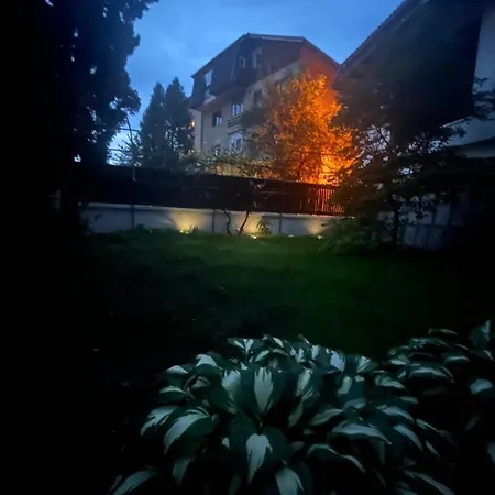Apartment Timi Brasov